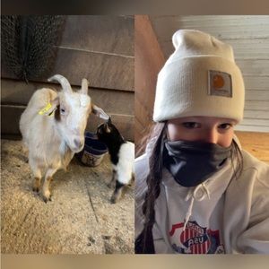 Meet your Posher, Brenna